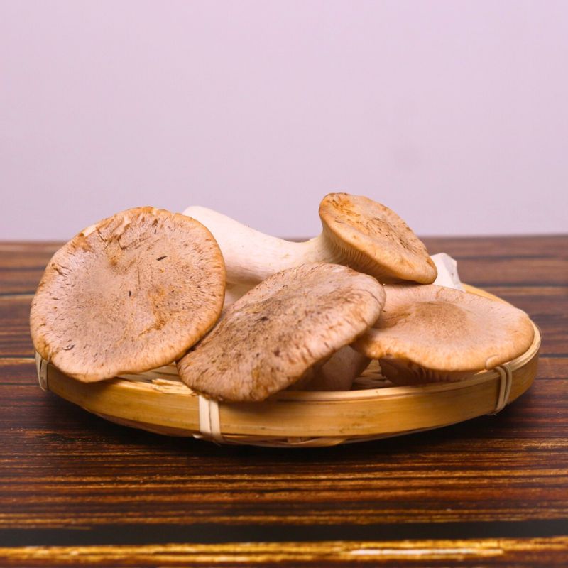 Ưu Điểm Của Nấm Sò Hương Tươi