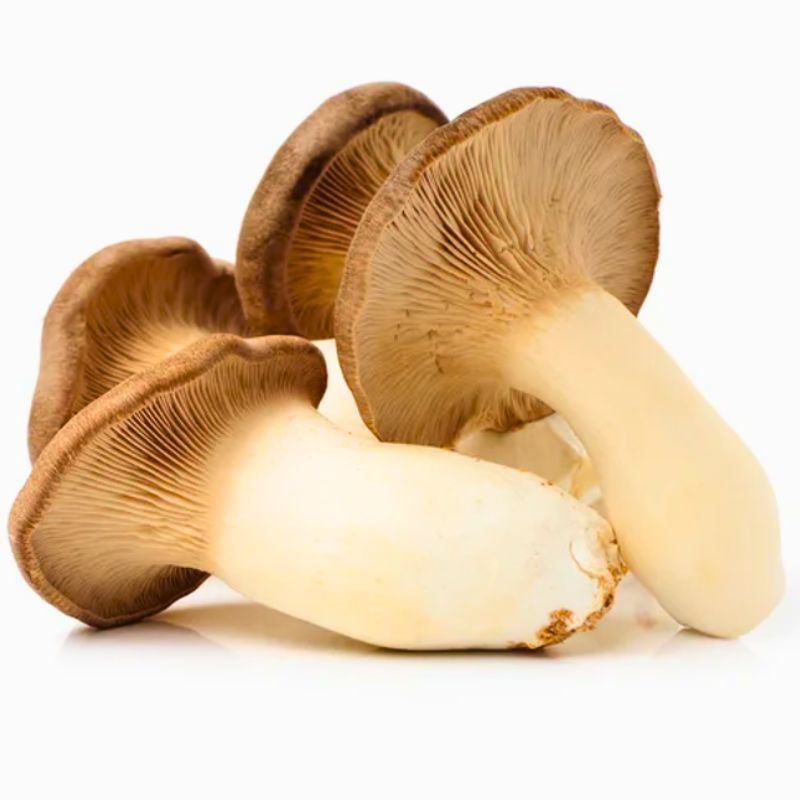 Hàm Lượng Dinh Dưỡng Trong Nấm Sò Hương Tươi