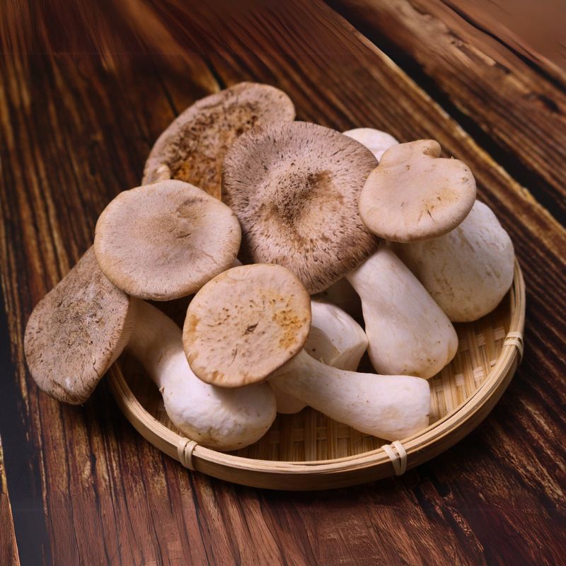 Cách Sử Dụng Nấm Sò Hương Tươi