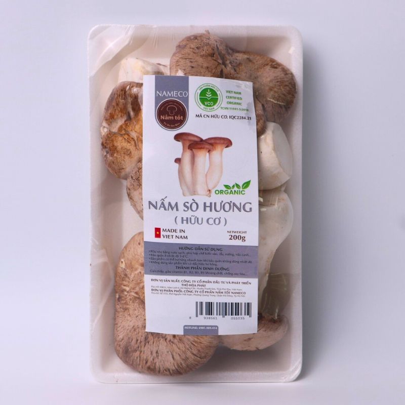 Cách Bảo Quản Nấm Sò Hương Tươi Tốt Nhất