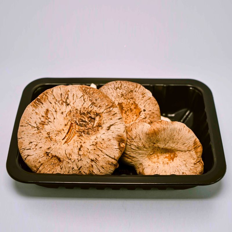 Tác Dụng Của Nấm Sò Hương Tươi