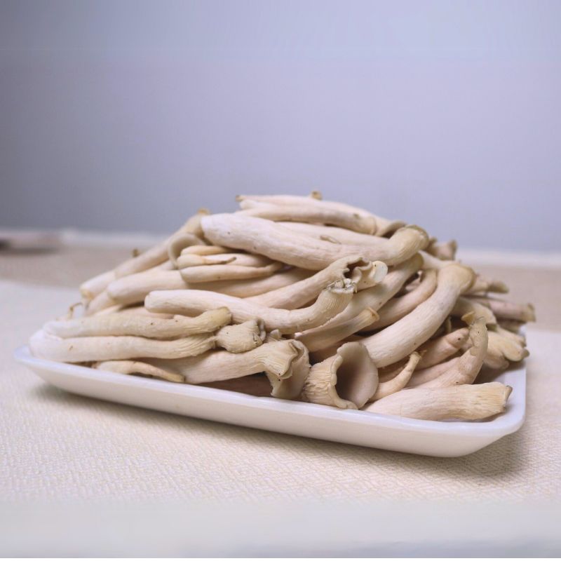 Cách Bảo Quản Nấm Notaky Tươi Tốt Nhất