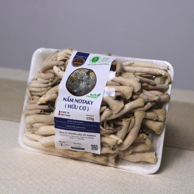 Mua Nấm Notaky Tươi Ở Đâu?
