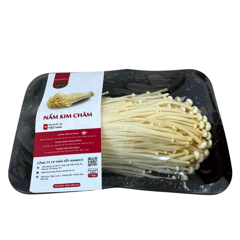 Mua Nấm Kim Châm Trắng Tươi ở đâu?