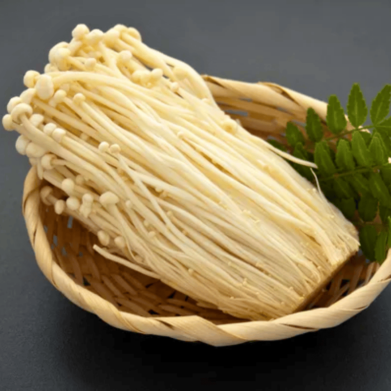 Hàm lượng dinh dưỡng trong Nấm Kim Châm Trắng Tươi