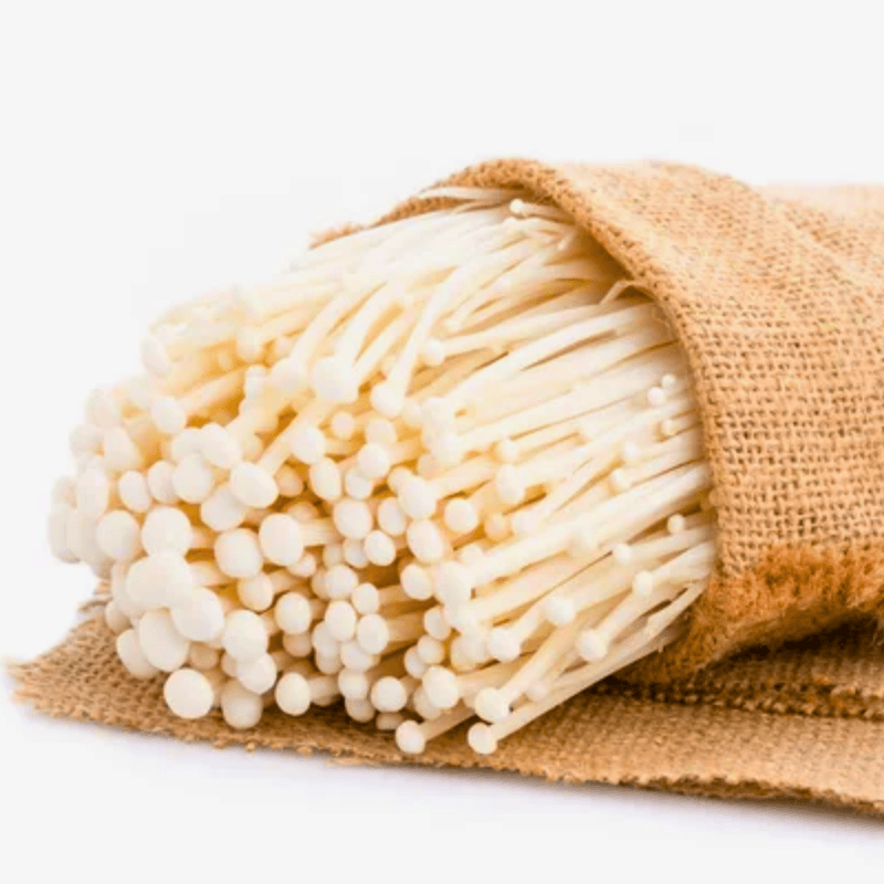 ưu điểm nấm kim châm trắng tươi