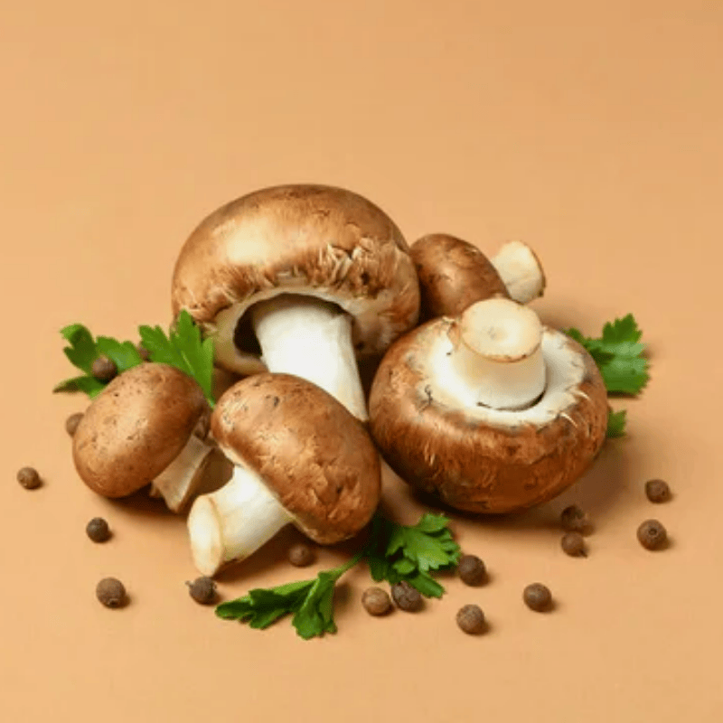 Hướng dẫn bảo quản Nấm Mỡ Nâu Tươi