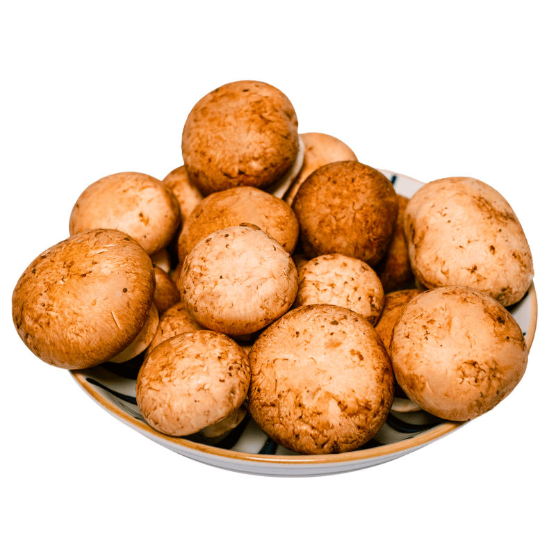 Nấm Mỡ Nâu Tươi là gì?