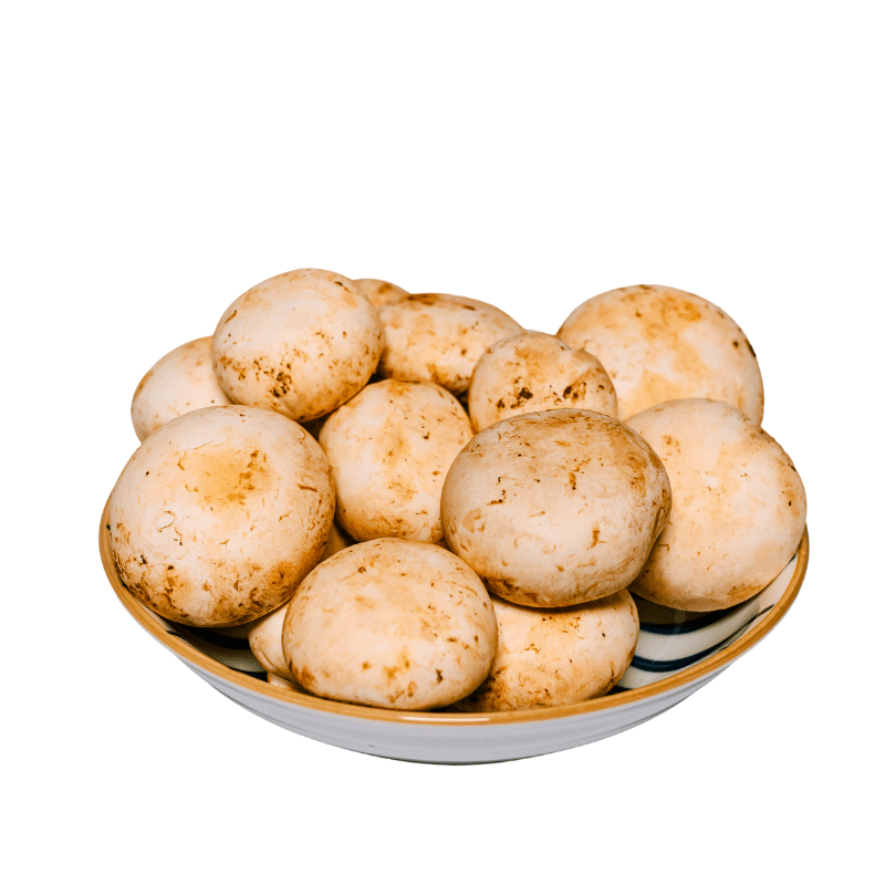 Cách bảo quản Nấm Mỡ Trắng Tươi