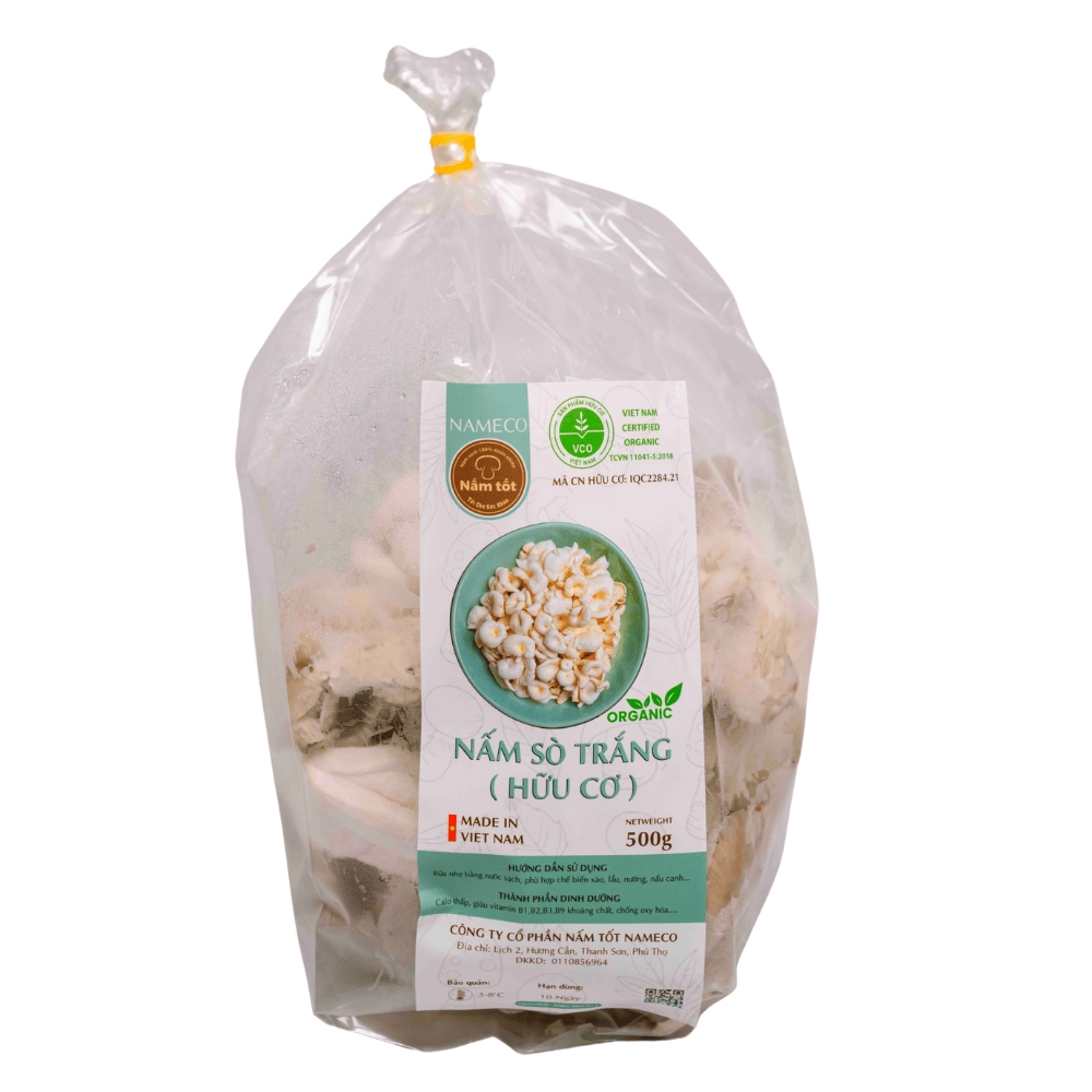 Hàm Lượng Dinh Dưỡng Trong Nấm Sò Trắng Tươi