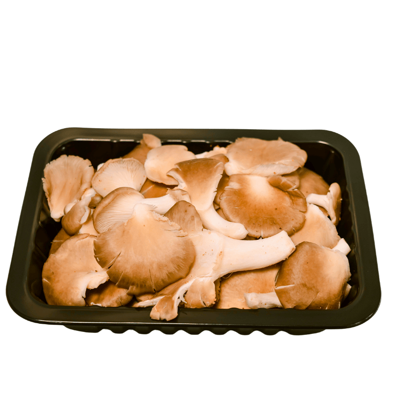 ưu điểm nấm sò nâu thái tươi