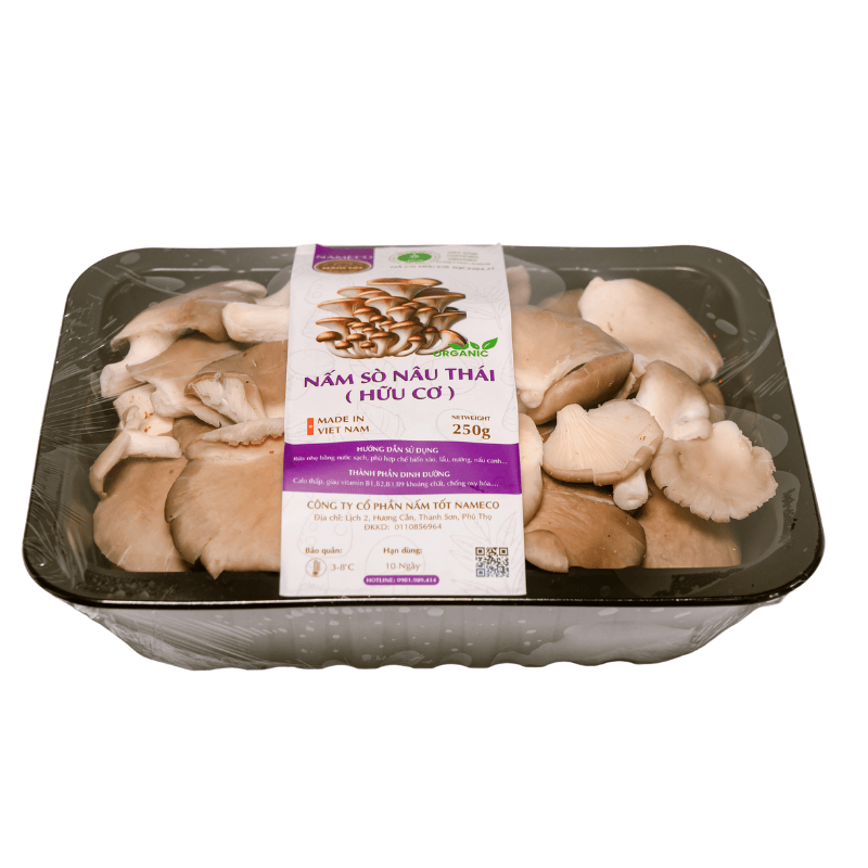 mua nấm sò nâu thái tươi ở đâu