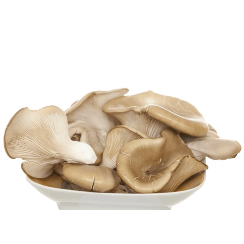 món ăn sò nâu thái tươi ngon