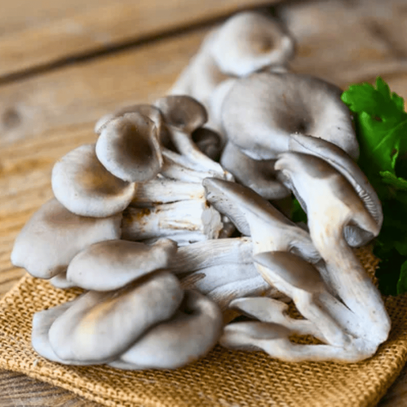 cách sơ chế nấm sò nâu thái tươi