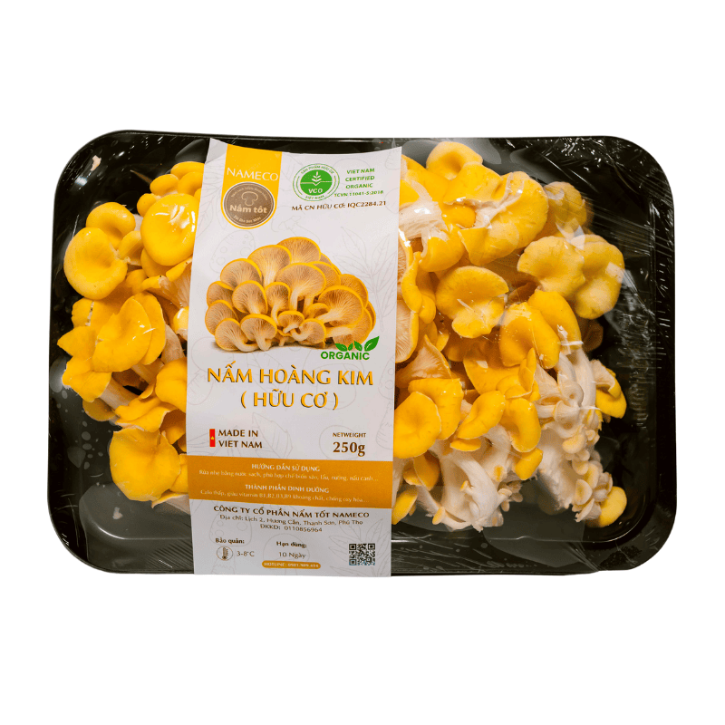 nấm hoàng kim 5