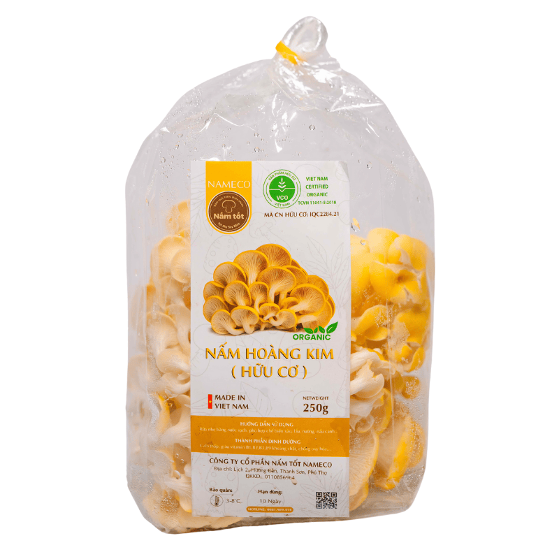 nấm hoàng kim tươi 6
