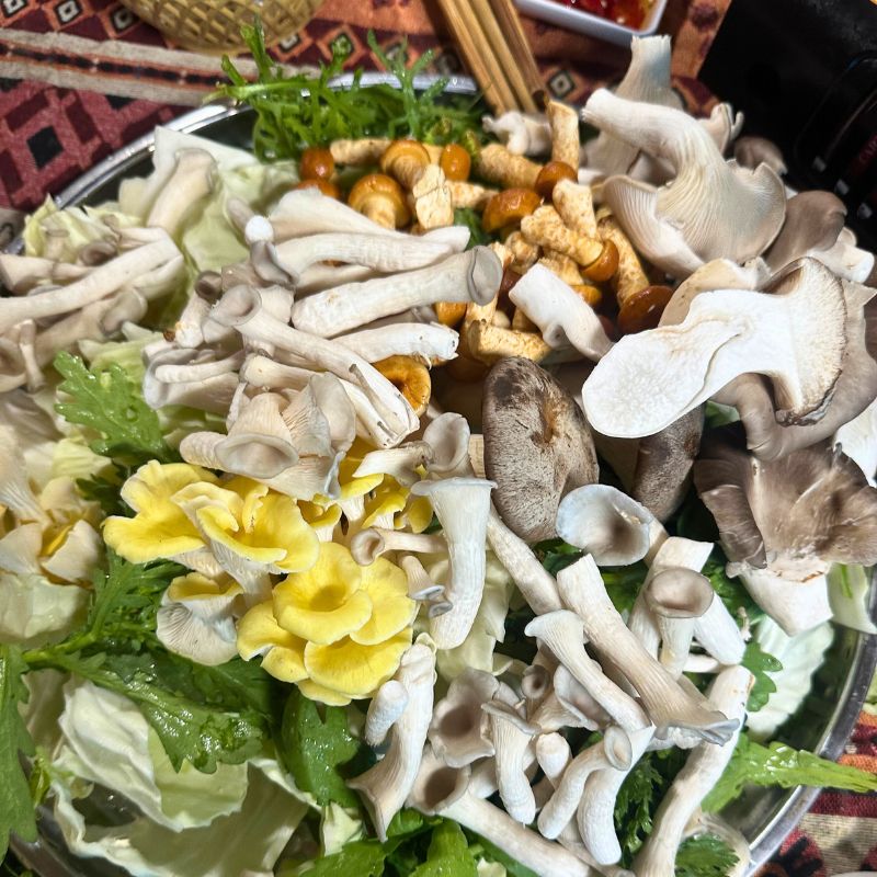 Thành phần nổi bật trong Nước Cốt Lẩu Nấm