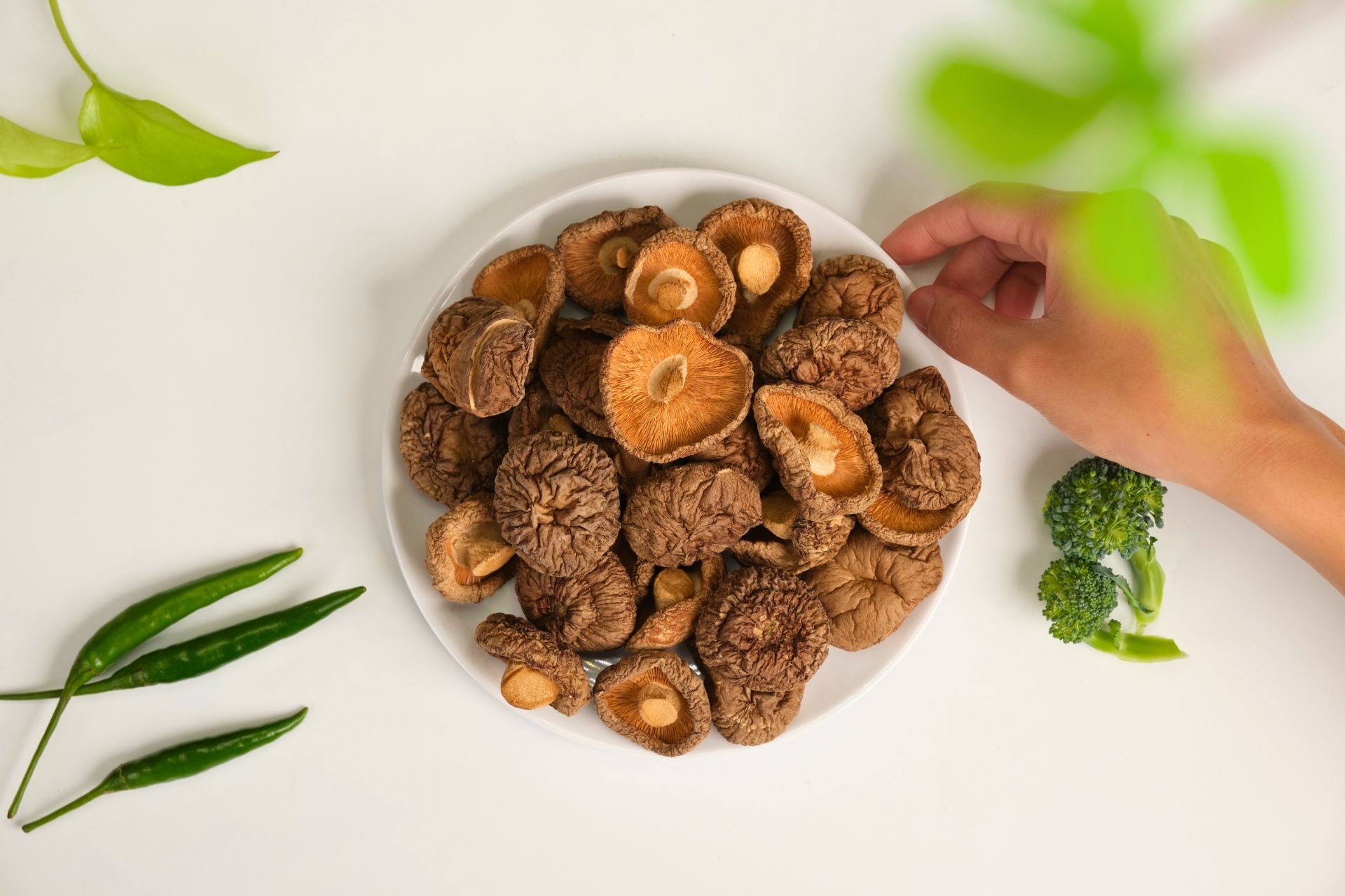 Nấm Hương Khô Sấy Lạnh Size L – Nấm Khô Ăn Chay Thơm Đậm, Thịt Dày, Giàu Dưỡng Chất