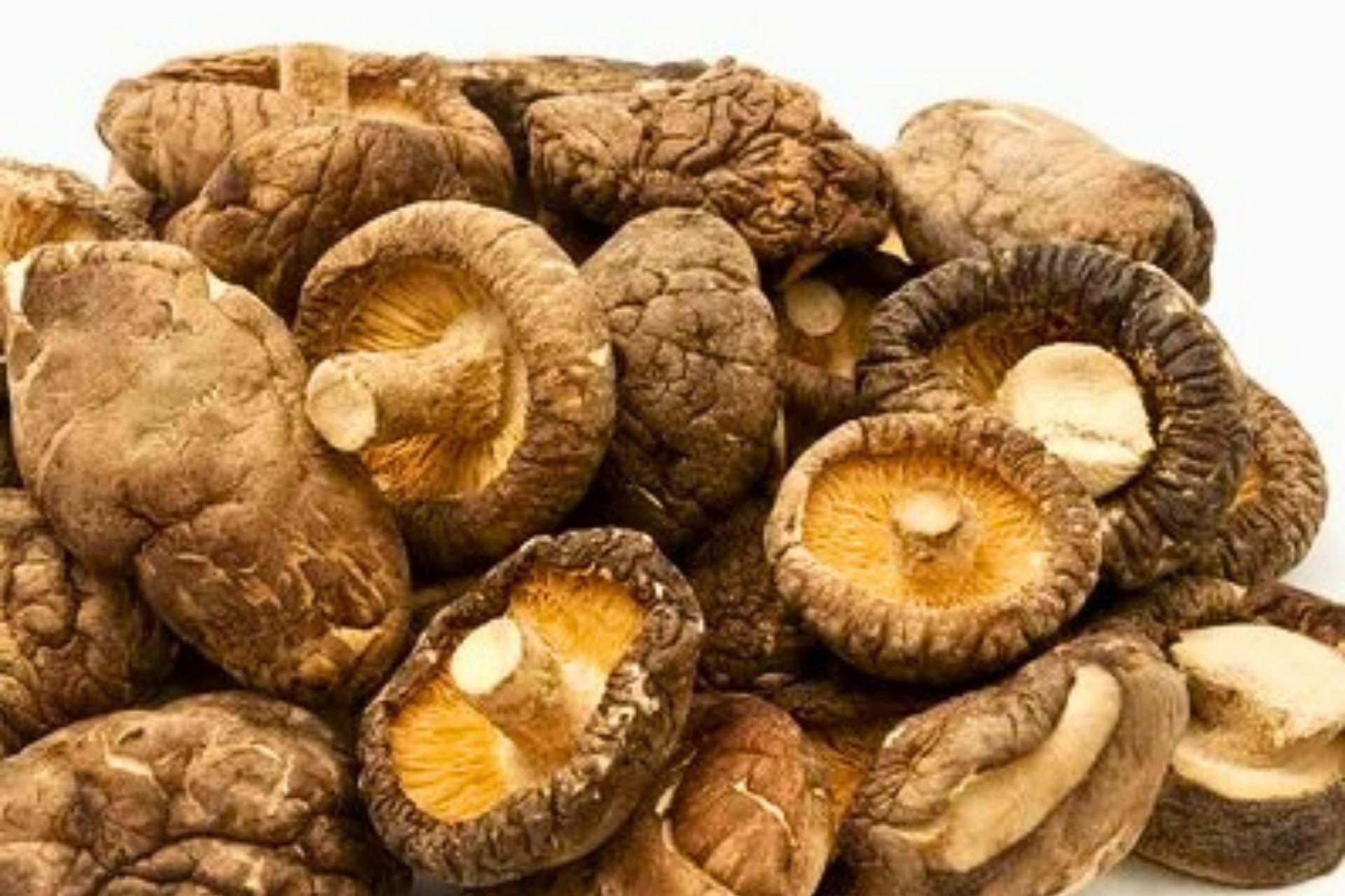 Hàm Lượng Dinh Dưỡng Trong Nấm Hương Khô