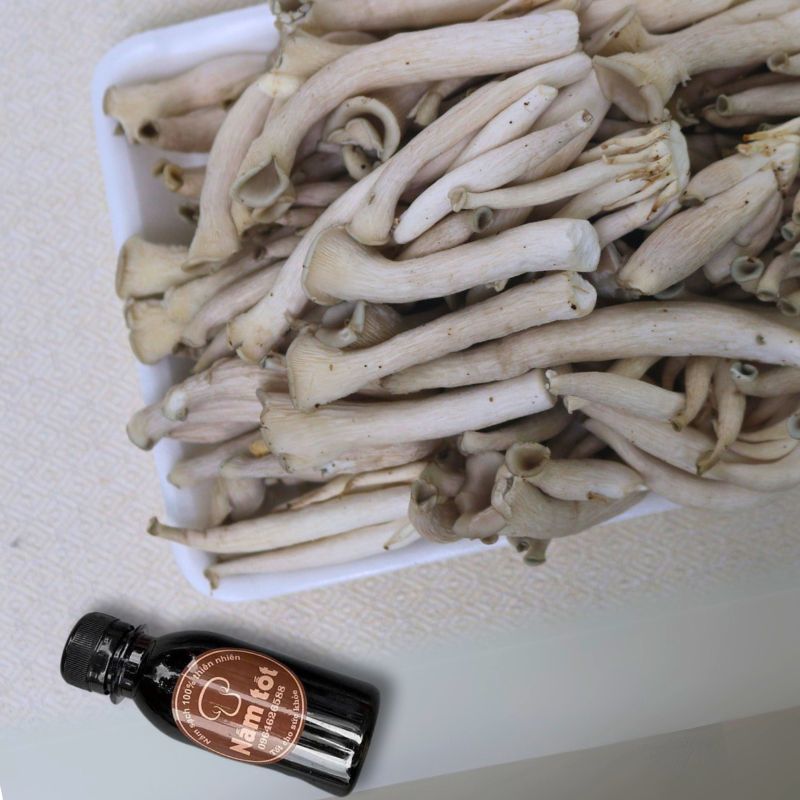 Cách sử dụng Set Kho Nấm Notaky