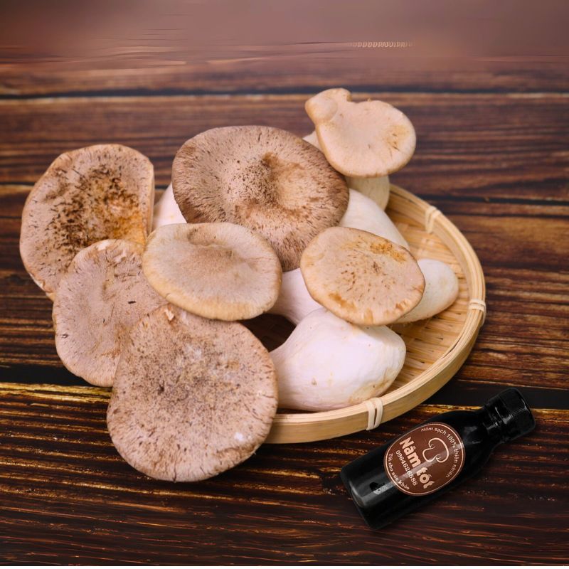 Cách sử dụng Set Kho Nấm Sò Hương