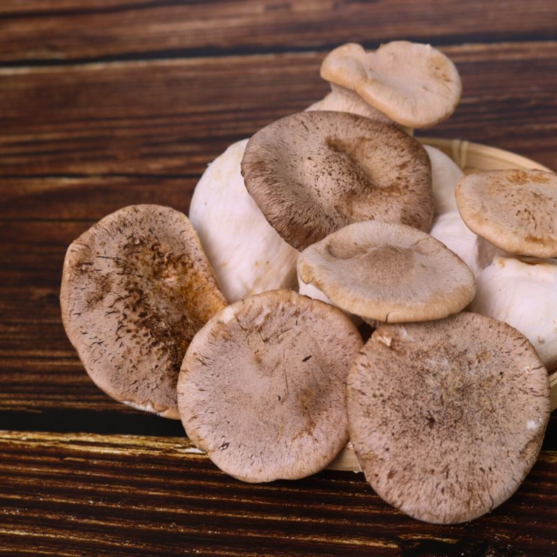 Tác dụng của Set Kho Nấm Sò Hương mang lại