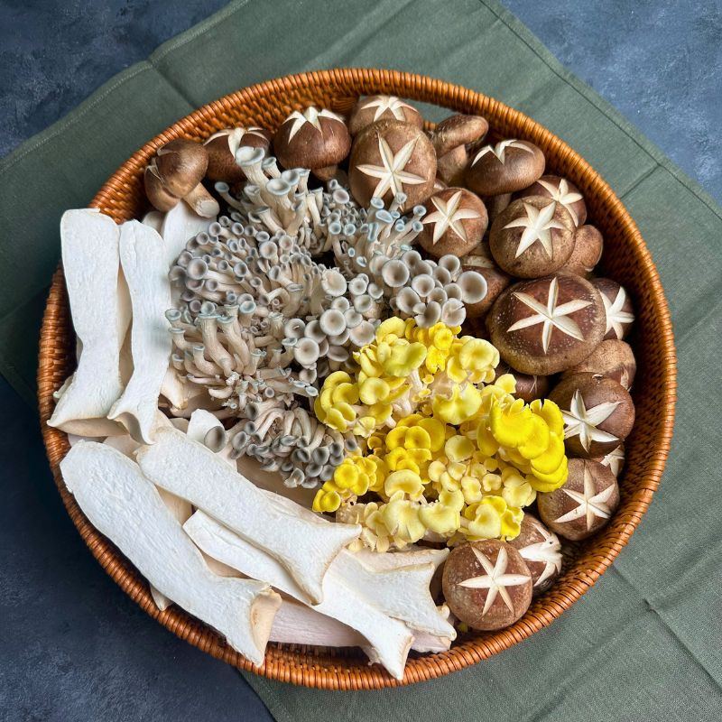 Điểm nổi bật của từng loại nấm trong Set Thập Cẩm