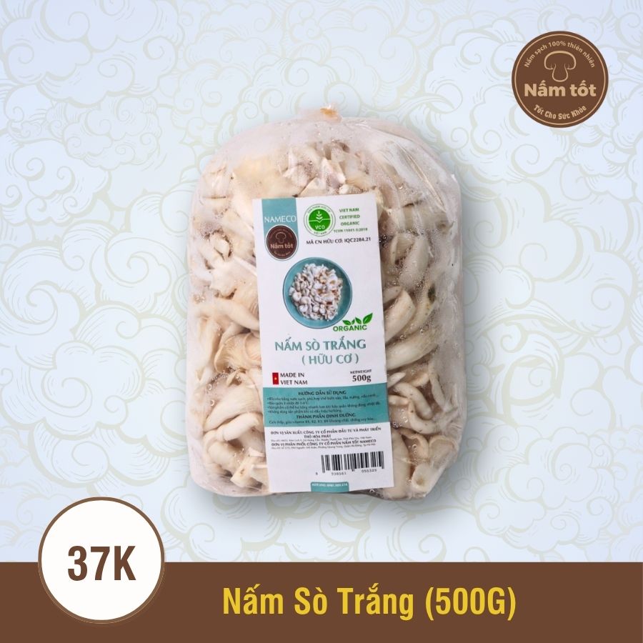 Nấm Sò Trắng Tươi