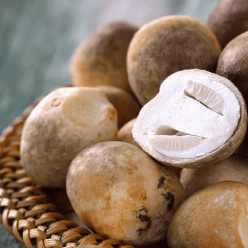 Cách sơ chế và sử dụng nấm rơm tươi