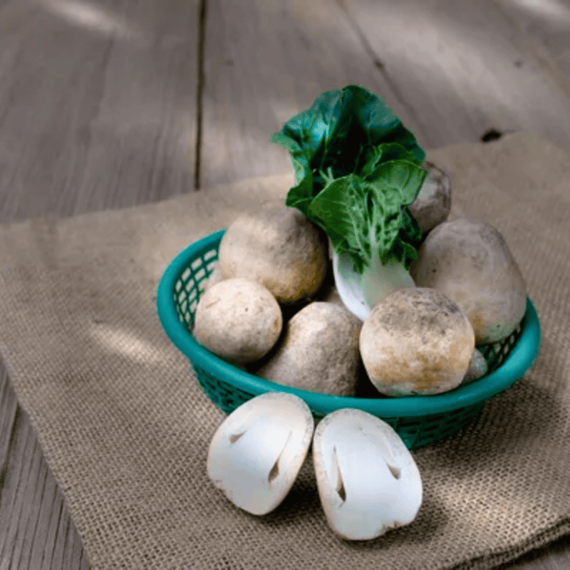 Cách bảo quản nấm rơm tươi hiệu quả