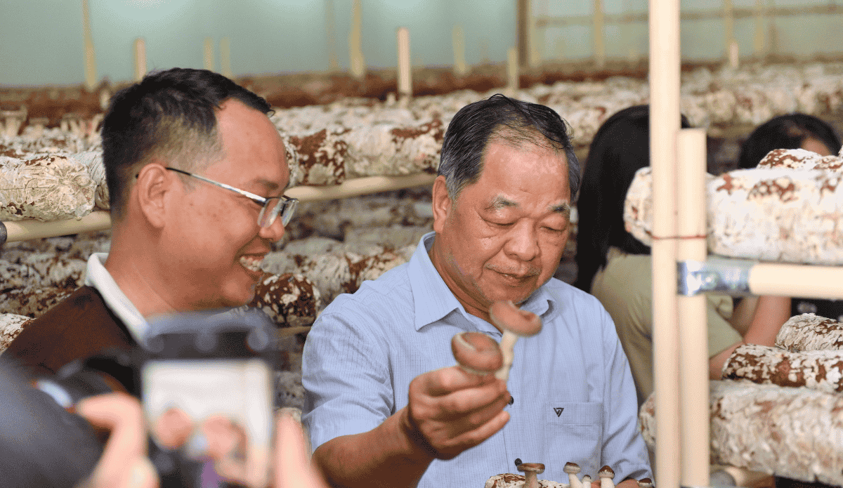 hành trình sản xuất nông nghiệp hữu cơ Việt Nam của Nấm Tốt - 3