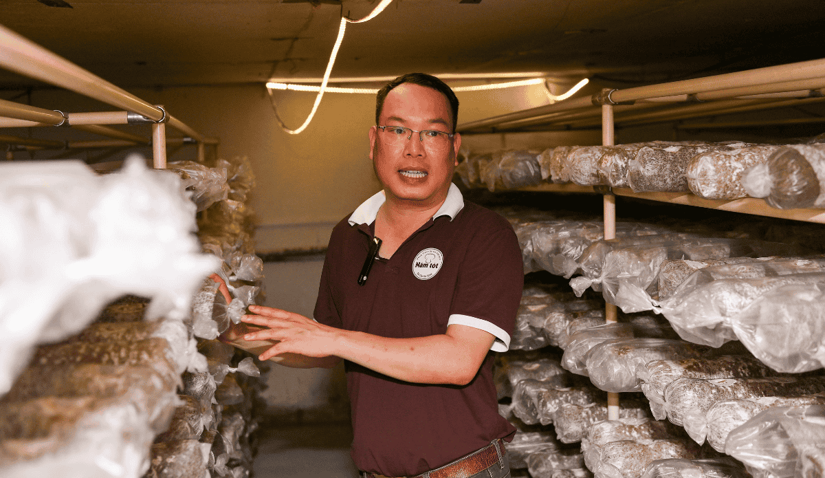 hành trình sản xuất nông nghiệp hữu cơ Việt Nam của Nấm Tốt - 1