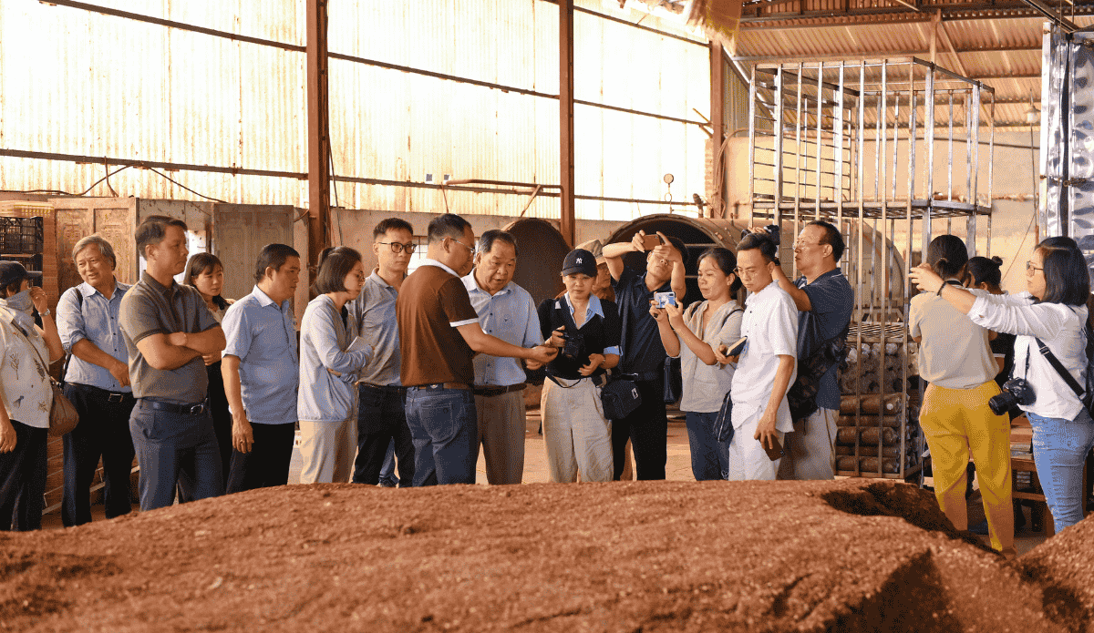 Từ mùn cưa đến siêu thị - Hành trình kiên trì của Nấm Tốt