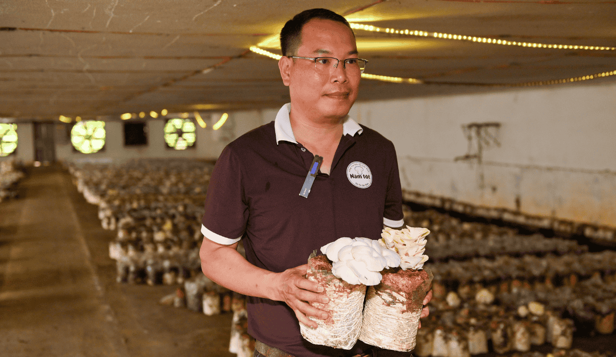 Anh Hưng chia sẻ những trăn trở để đưa Nấm sạch đến tay người tiêu dùng Việt