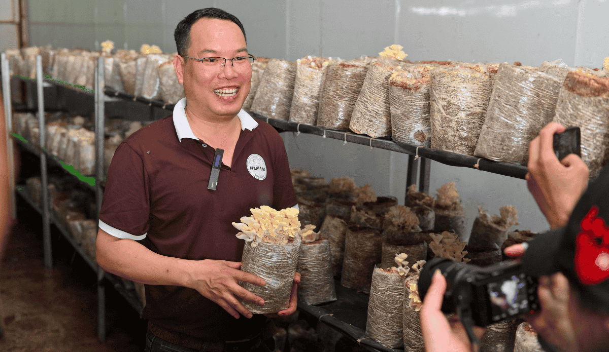 Anh Mai Văn Hưng, Tổng Giám đốc Công ty cổ phần Nấm Tốt Nameco tin rằng, sản xuất nấm hữu cơ ở nước ta hoàn toàn có thể lớn mạnh hơn nhiều.
