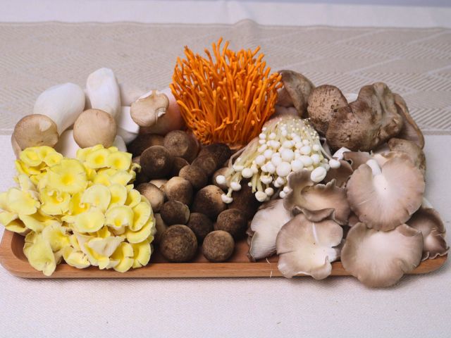 Vì sao nên chọn sản phẩm từ Nấm Tốt để bổ sung Ergothioneine?