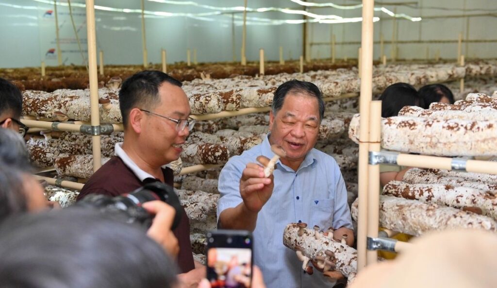 Hành Trình 11 Năm Làm Nấm Hữu Cơ Tử Tế Tại Việt Nam – Từ Phế Phẩm Đến Bộ Kit Trồng Nấm