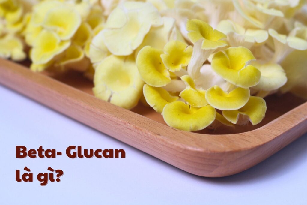 Beta-Glucan là gì? Công dụng và nguồn tự nhiên giàu hoạt chất