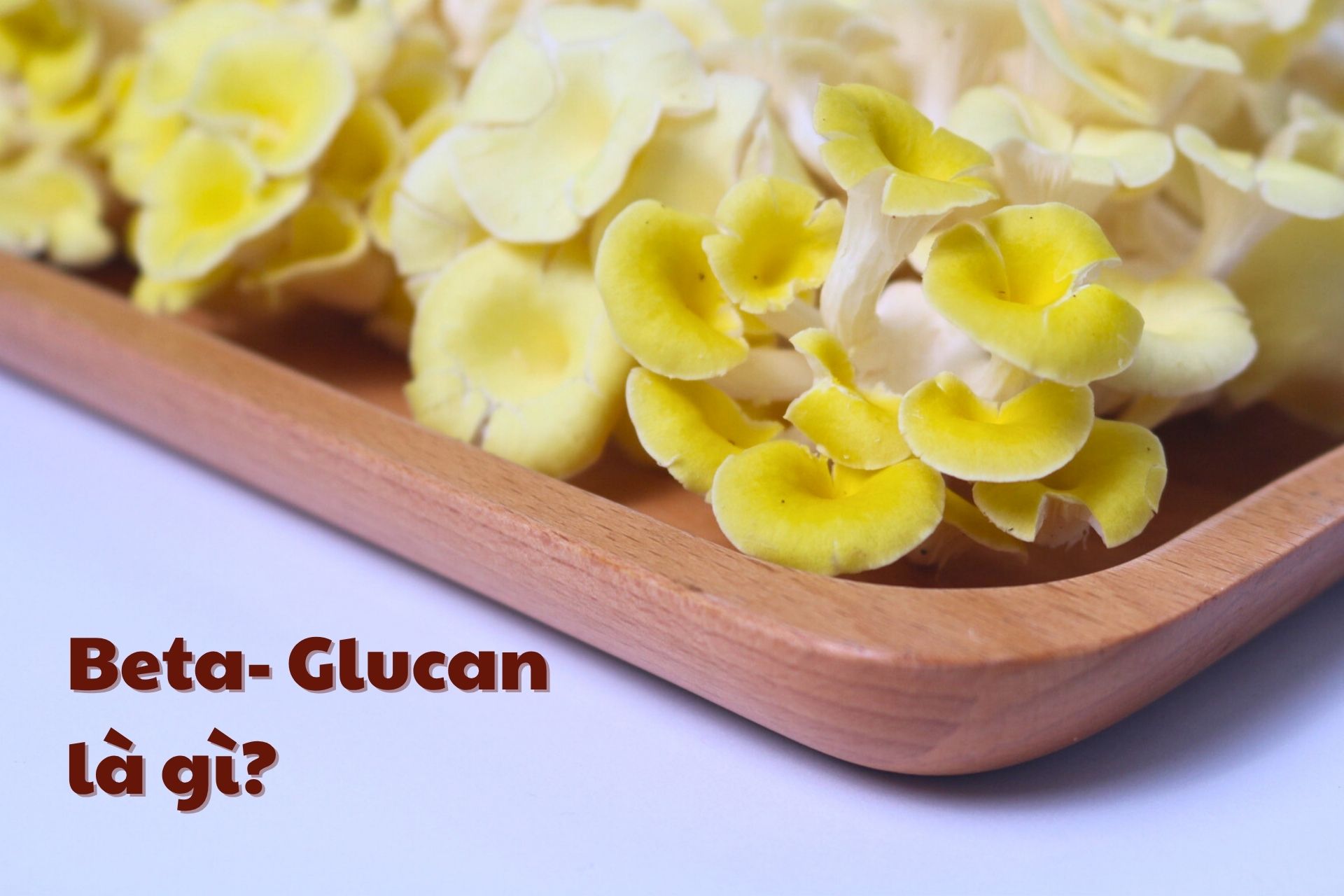 Beta-Glucan là gì? Công dụng và nguồn tự nhiên giàu hoạt chất