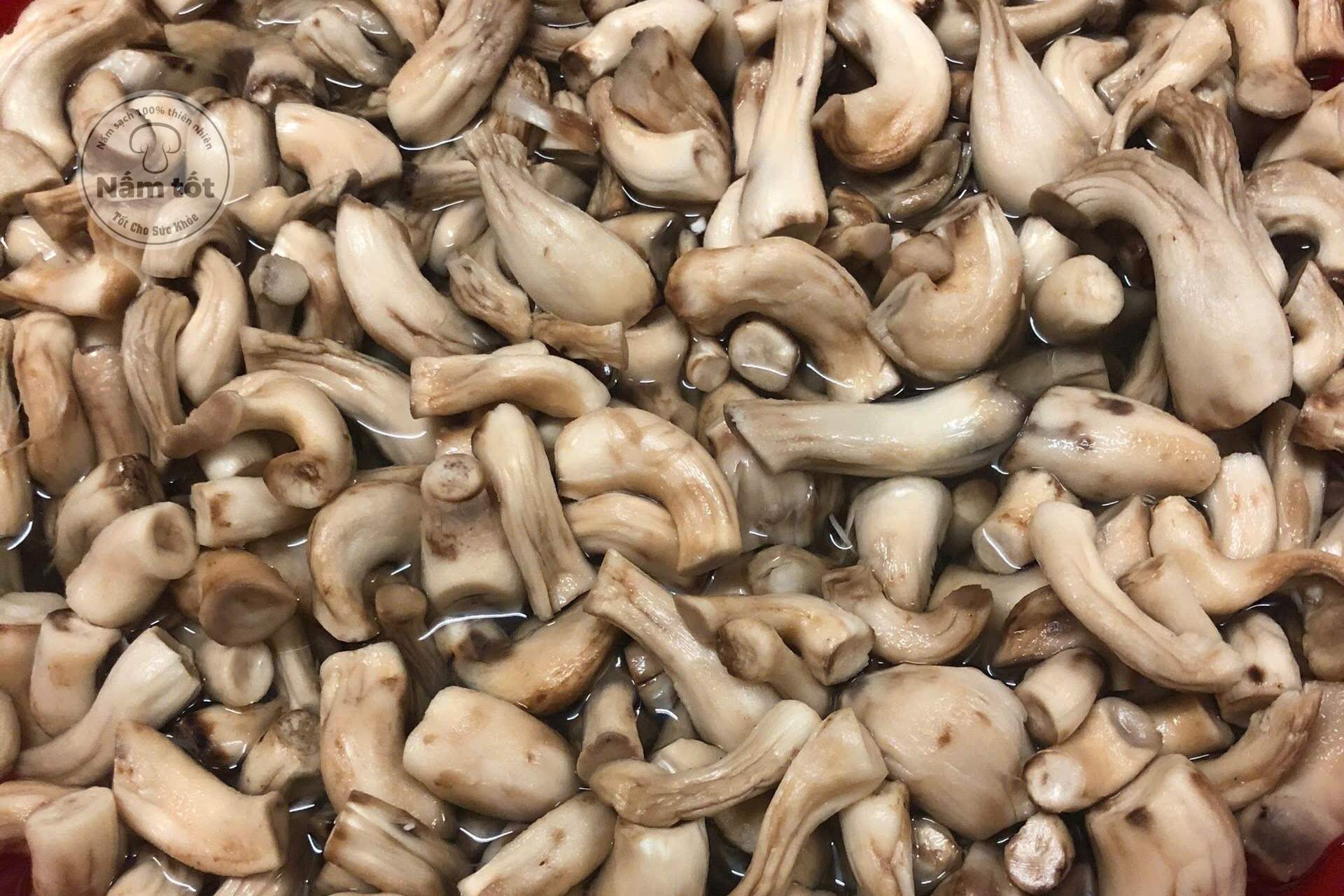 Giá Trị Dinh Dưỡng Ruốc chân Nấm Hương Tươi và Khô