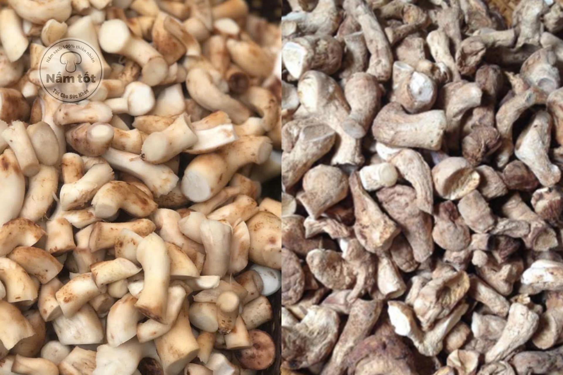 Phân Loại: Ruốc chân Nấm Hương Tươi và Nấm Khô