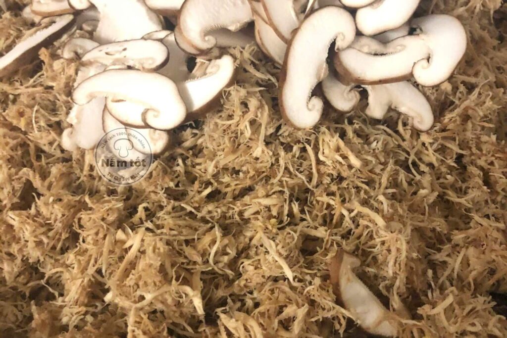 So Sánh Ruốc Chân Nấm Hương Tươi và Khô: Lựa Chọn Nào Tốt Cho Sức Khỏe và Bữa Ăn Eat Clean?