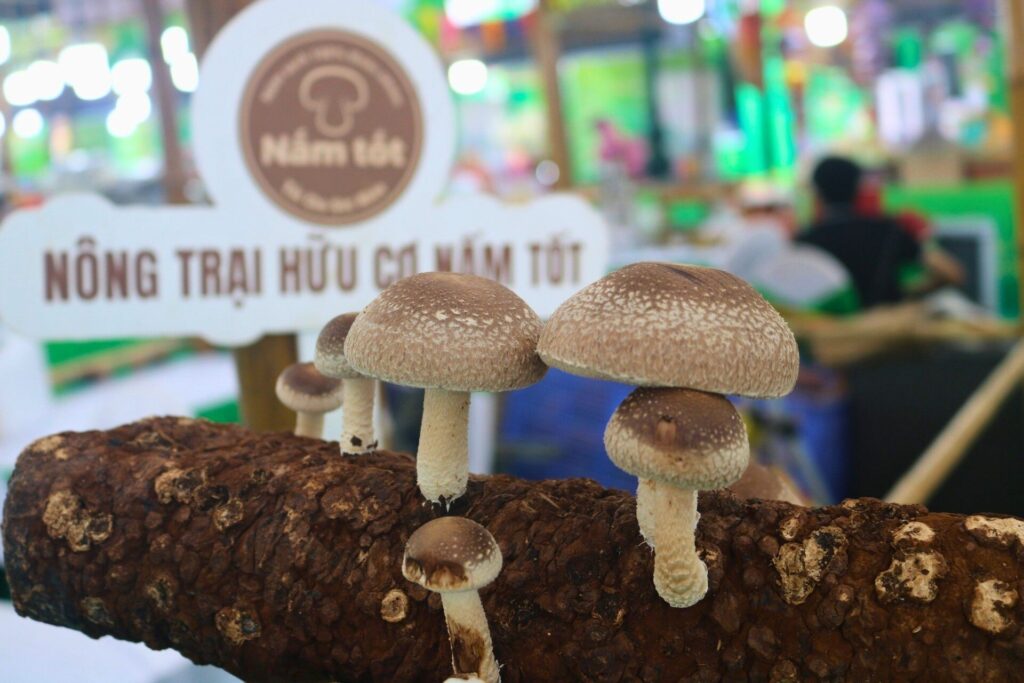 Nấm hương có tác dụng gì? 5 lợi ích tốt cho sức khỏe bạn cần biết