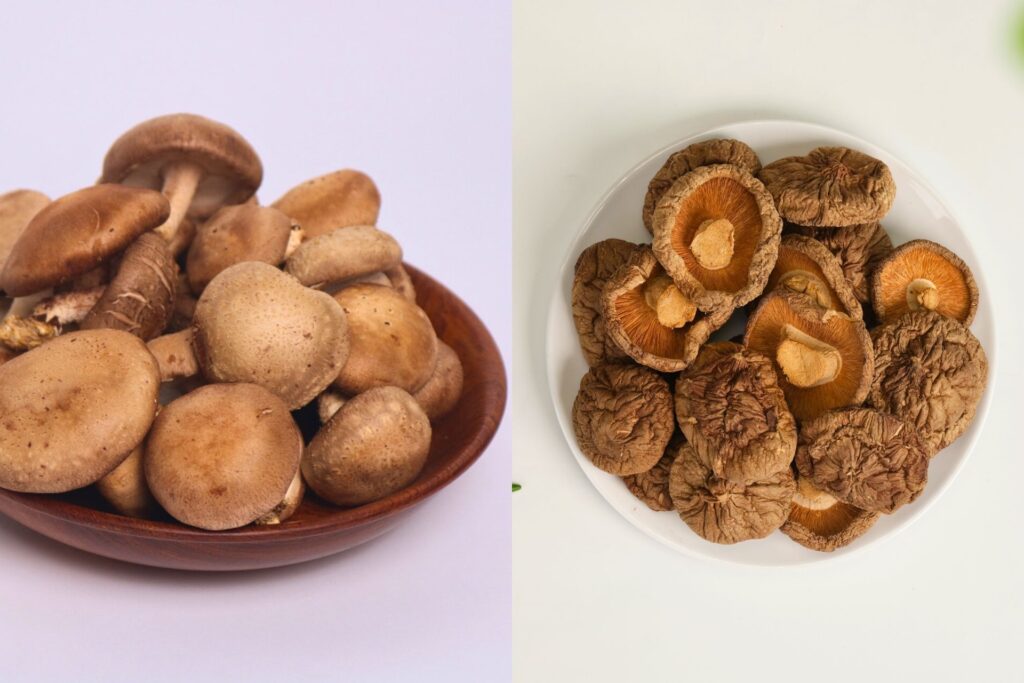 Nấm Hương Tươi và Khô: So Sánh Toàn Diện Các Dạng Nấm Hương Hữu Cơ